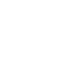 Logo Dermo pigmentazione Silvia Tranà